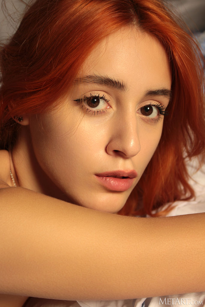 Elfa Floria In Blue Gingham - Photo 15