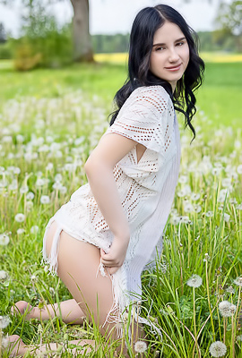 /Sasha Jane Reclining Naked Among The Wild Flowers